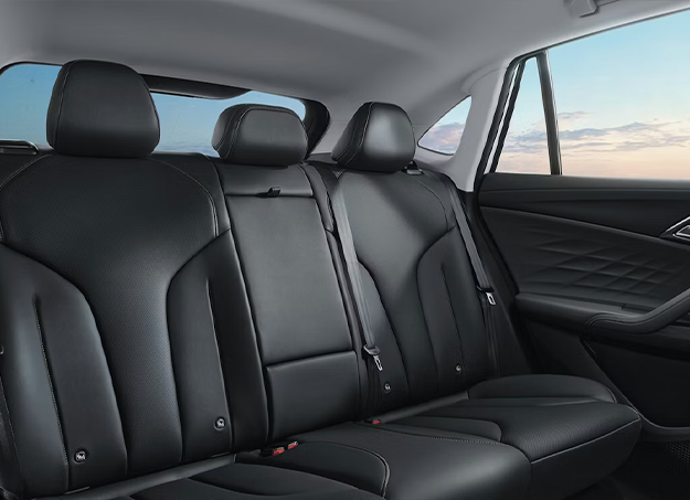 Amplitude-Auto-MG-EHS-Hybrid