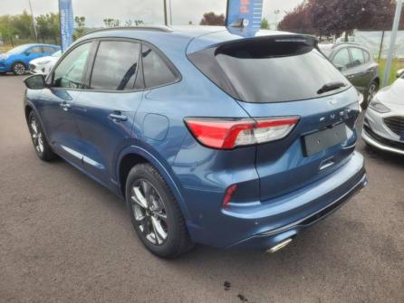 FORD Kuga 1.5 EcoBlue 120ch Titanium Powershift à vendre à Sens - Image n°4